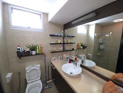 Parkshore (D15), Condominium #484451451